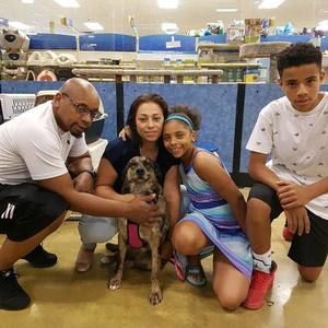 Meet your Posher, Veronica